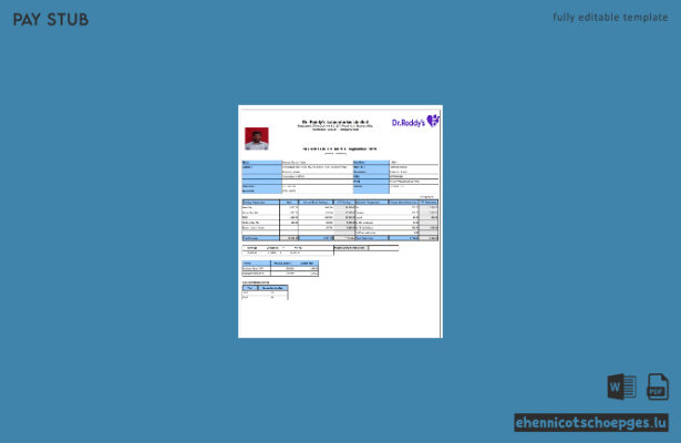Beispiel einer Gehaltsabrechnung von Dr. Reddy's Laboratories Limited